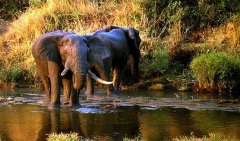 去南非旅游應(yīng)該穿什么衣服