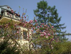 三月份適合到哪里旅游