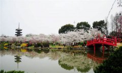三四月不去這些地方，就辜負春天了！